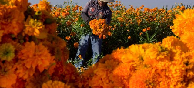 Que regresen los amaneceres naranjas