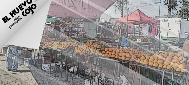 Voces y vida en el tianguis de Ciudad Granja