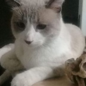 Tus juguetes a la tierra y la mirada al cielo