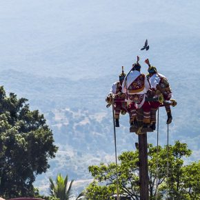 ¡Ay, Papantla, tus hijos vuelan!