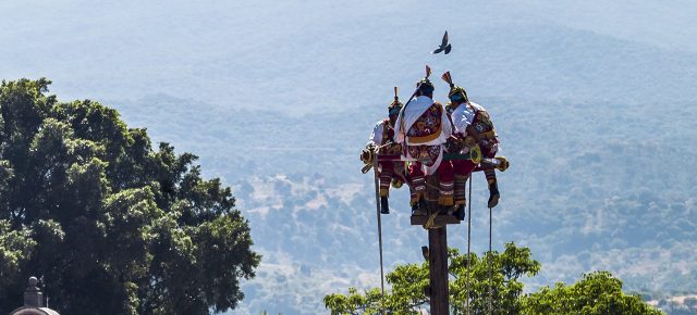 ¡Ay, Papantla, tus hijos vuelan!