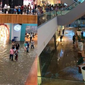 La avenida sobre un río La avenida sobre un río